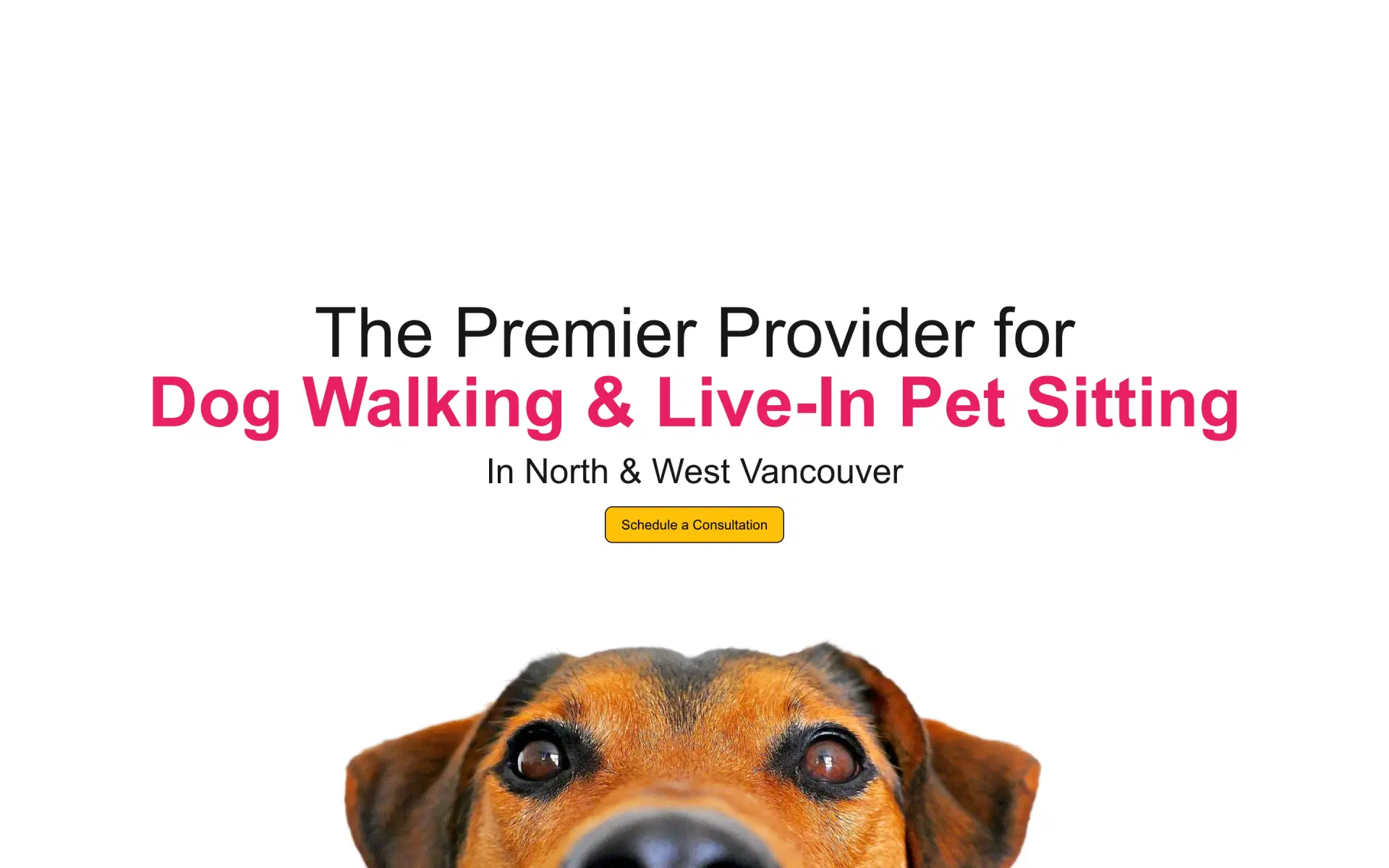 Fairy Dog Mama website screen 4